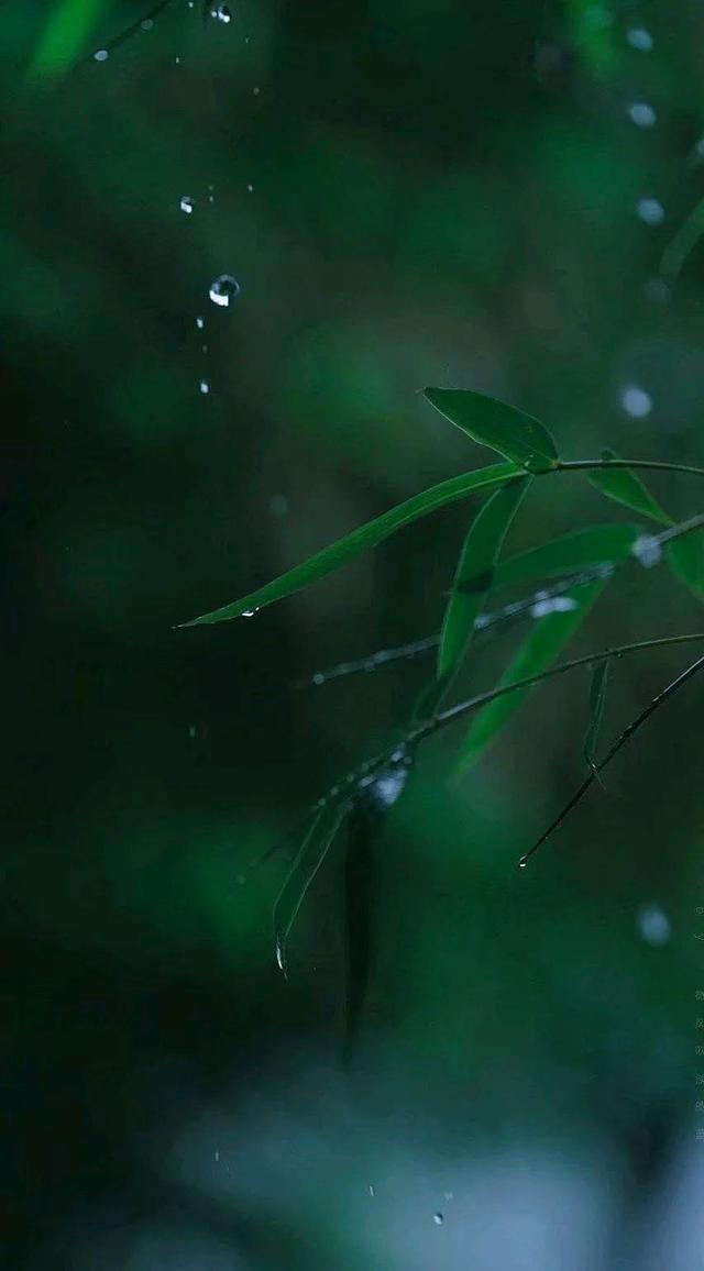 初夏的细雨