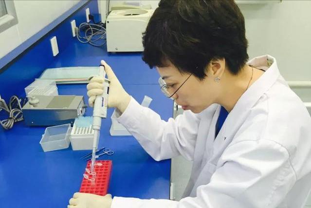 家用破碎机样品价格