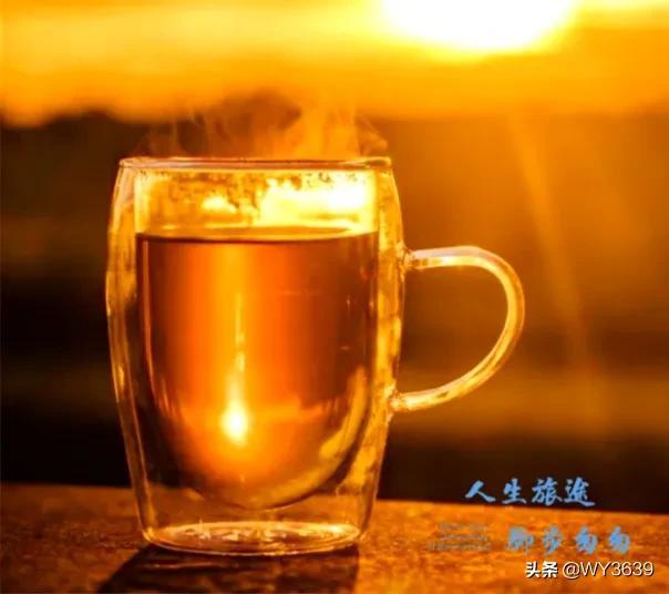 你若来，茶待你，你若在，茶更浓
