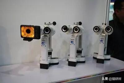 猫咪眼睛流泪睁不开是什么原因(猫眼角肿了个小包外眼角)