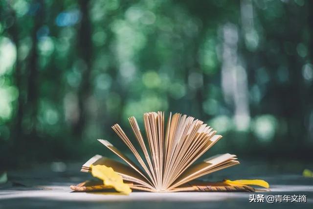 你是我生命中最美好的部分