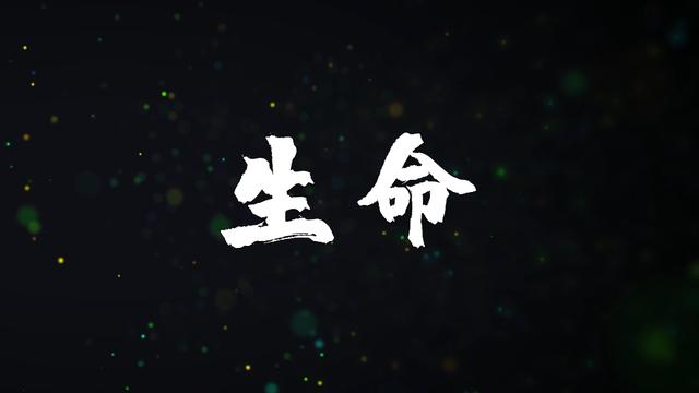 深度超过10万米，进入木卫二地下冰洋，会发现什么神奇物种？