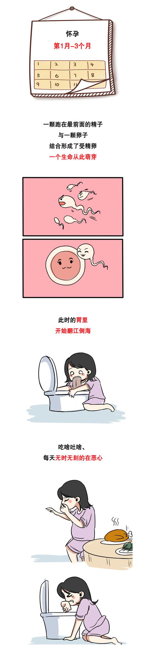 女性怀胎10月身体变化过程揭秘！宝宝和妈妈都一起经历了什么？