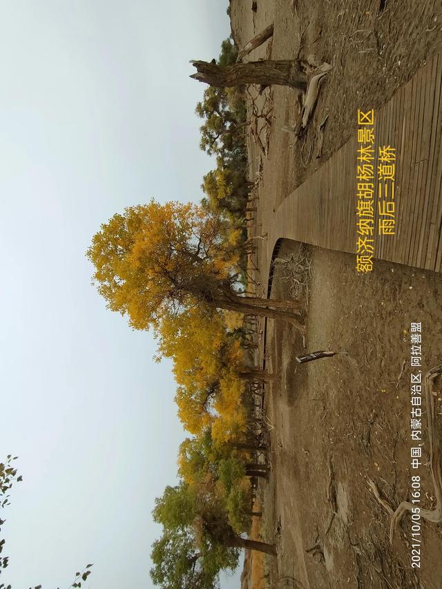 西行漫記之10月5日內蒙古篇