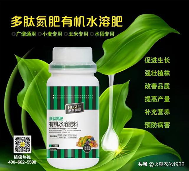 尿素价格暴涨！小麦追肥，选护果有机多肽氮肥，1瓶挑战40斤尿素3