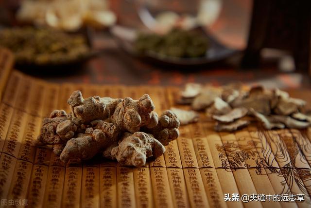 讲一味三七，细数其6大功效，4个细节，原来贵有贵的道理