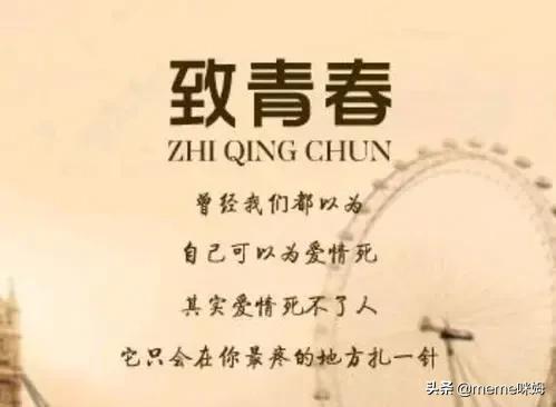 你的青春是什么，它其实什么都不是