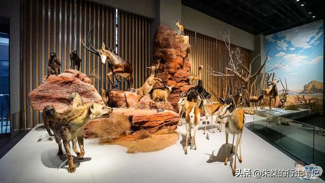 宜昌市伍家岗区档案馆展陈及消防改造工程