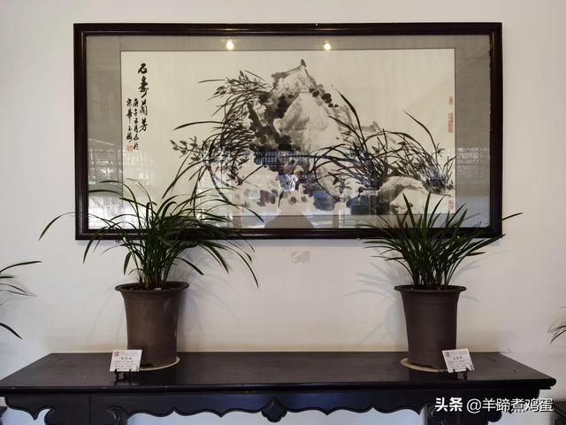 未等冬寒至 梅已報春香——北京中山公園臘梅提前綻放 盡顯芬芳