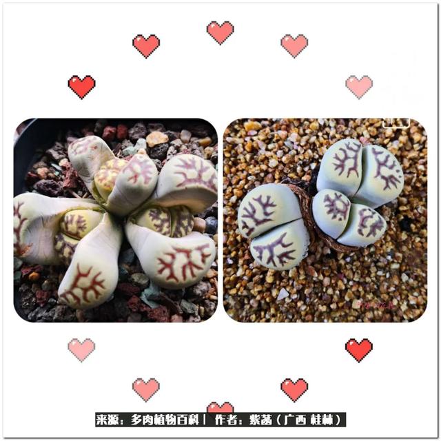 大型制砂机给力富贵机械