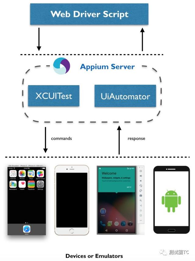 Selenium之Appium知多少