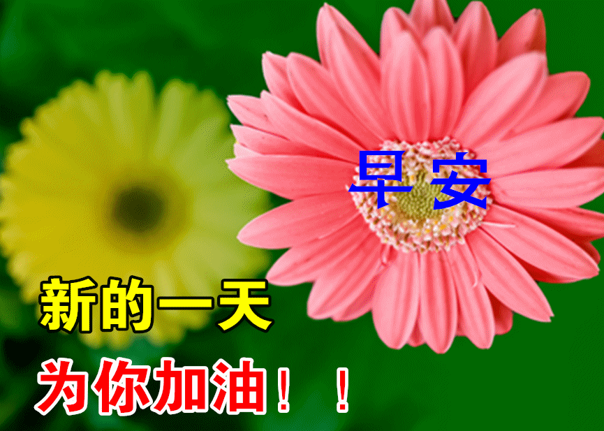 「2022.05.01」早安心语，五一劳动节5月你好正能量励志唯美语录