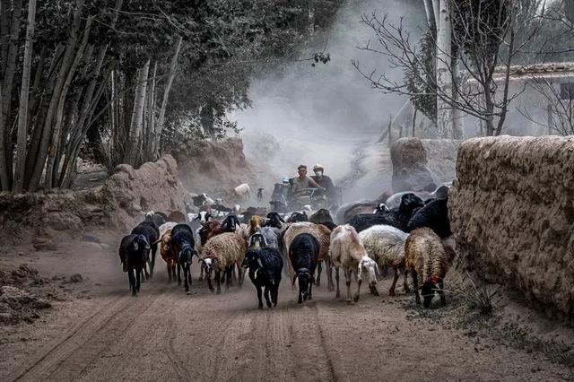 图赏 | 叶城:摄影促交流,图像展新貌