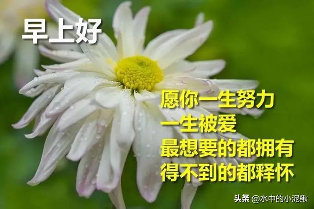 微信朋友圈早安正能量短句分享，句句精辟