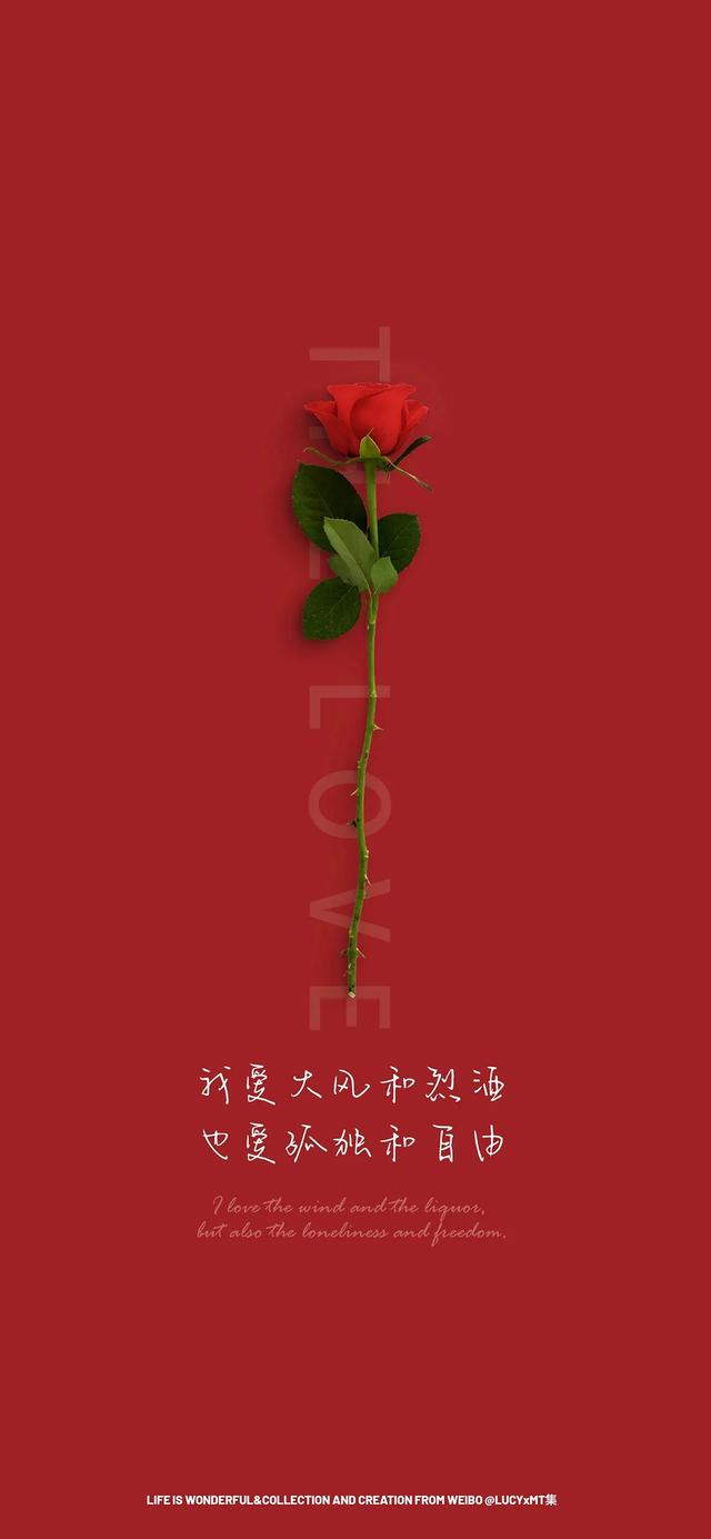 玫瑰花情人节图片高清 22年2月14日情人节玫瑰主题高清手机壁纸 爱喜匠
