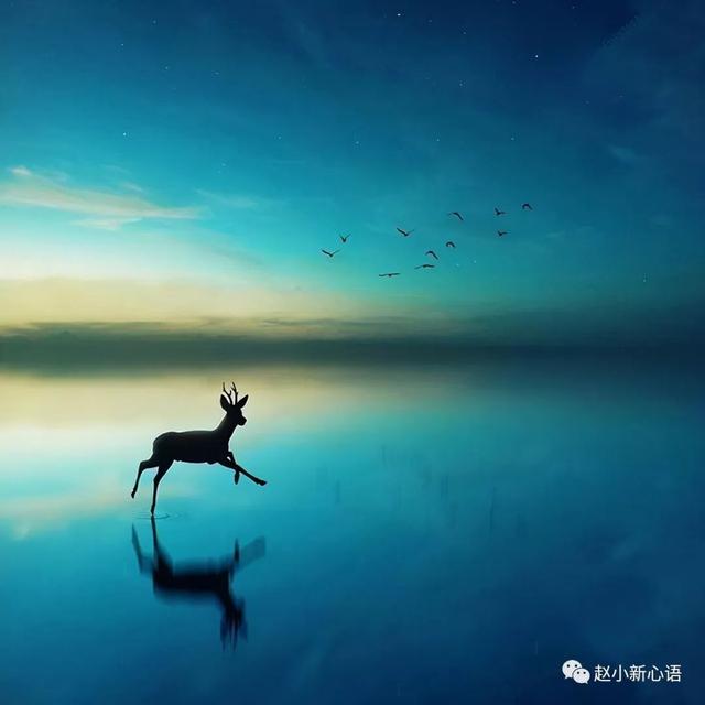 精辟有哲理的人生感悟句子，每一句都说透了人生