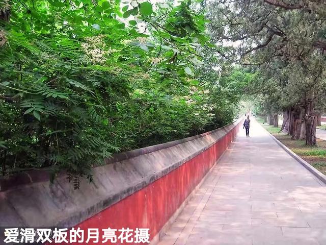 遊京郊臥佛寺隨感