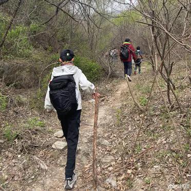 一家三口爬山10公里儿子在路边拔野菜，坐地上吃也不算太脏