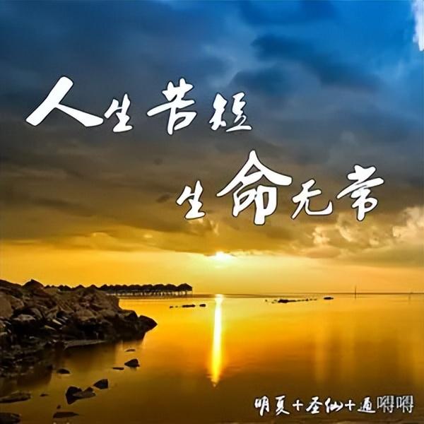 人生的苦，得自己扛；人生的福，得自己造
