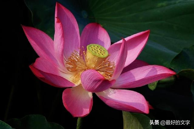 当你难过时，打开看一看！（深度好文）