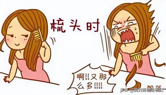 脱发？头发干枯？介绍一味用于脱发、白发的中药，还能止咳化痰