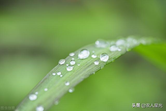 天气预报：今天(20日)谷雨，如果天下雨，会有什么预兆？农谚咋说