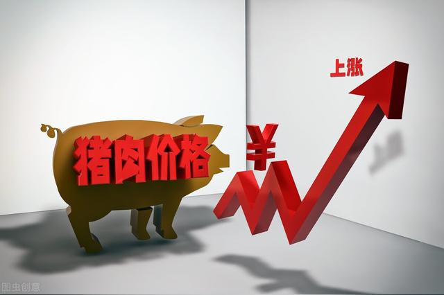 全线大涨：5月15日猪价“破8”，蛋价“破5”！粮价又来好消息