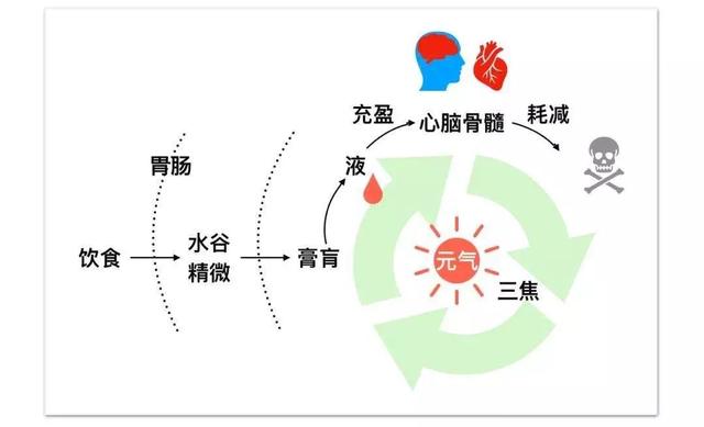 冬季口干，喝水无法缓解，可能是身体这些地方虚了