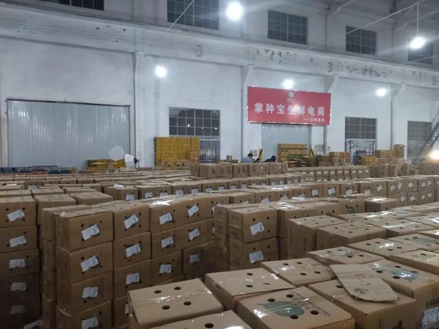 掌种宝直播电商再创新记录，3分钟3894万销售额