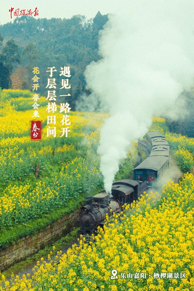 今日春分｜繁花如期盛开 春天定将到来