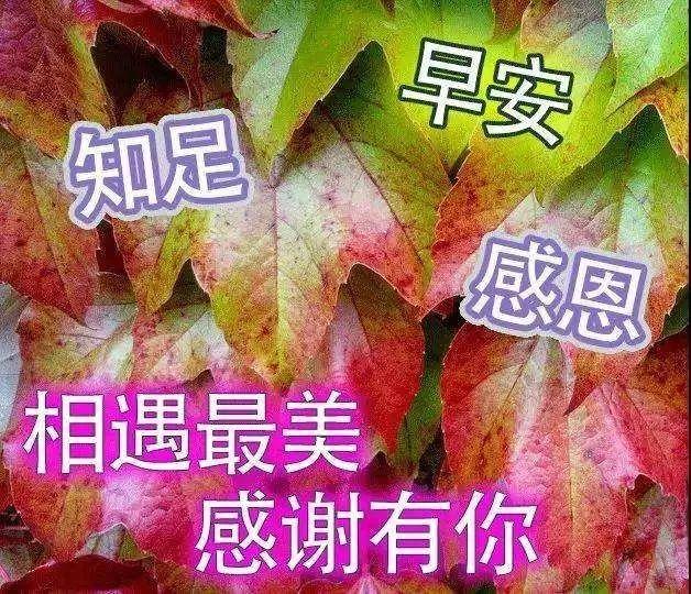 周三清晨最暖心的早上好祝福简短语句 祝福问候天天到 日日好心情