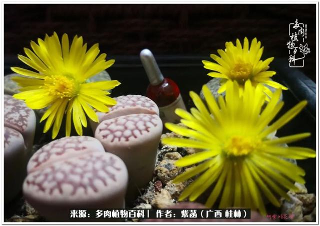 桂林滚筒式洗砂机厂家
