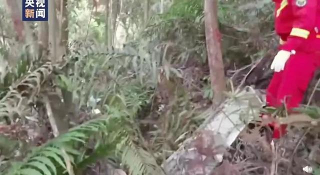 东航梧州空难，专家：“这是极其罕见的情况”