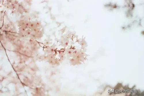 每天都要给自己一个好心情