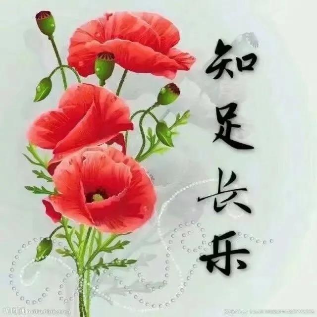 五十而知天命