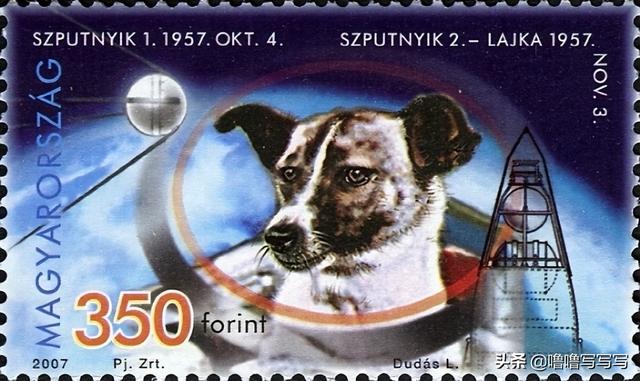 为人类太空事业做出贡献的动物们