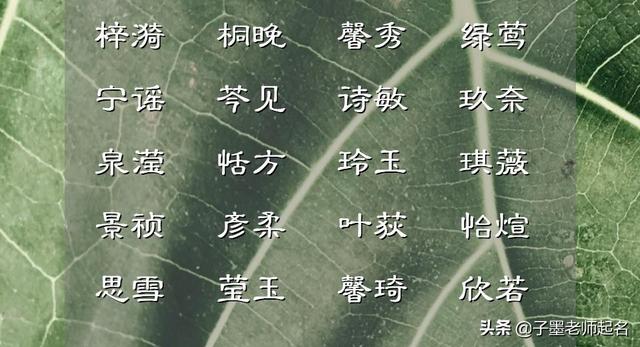 颜面的意思  延绵的意思