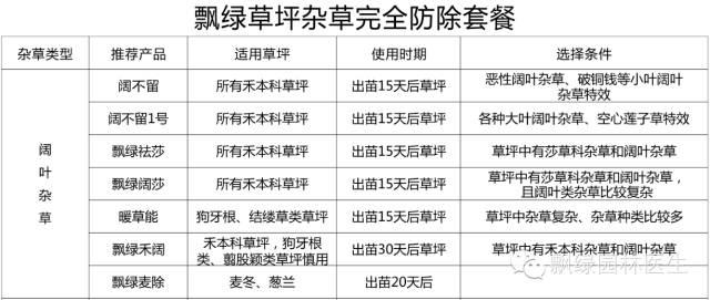 春季草坪杂草化学防除技术28