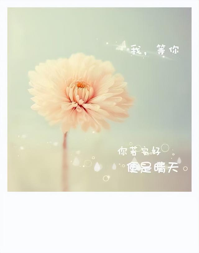 早安能量：蝴蝶，没有破茧的勇气，哪来飞舞的美丽