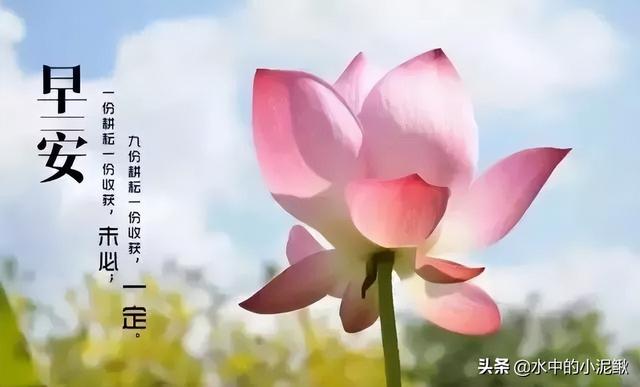 微信早安<a href=https://maguai.com/list/46-0-0.html target=_blank class=infotextkey>语录</a>正能量句子 早安图片激励语