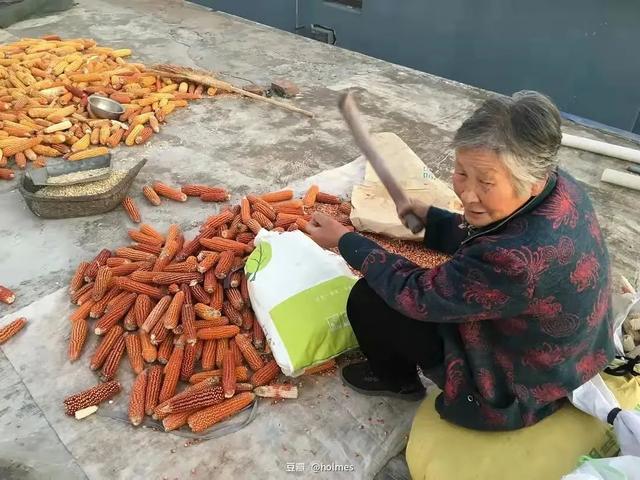思乡是指什么意思