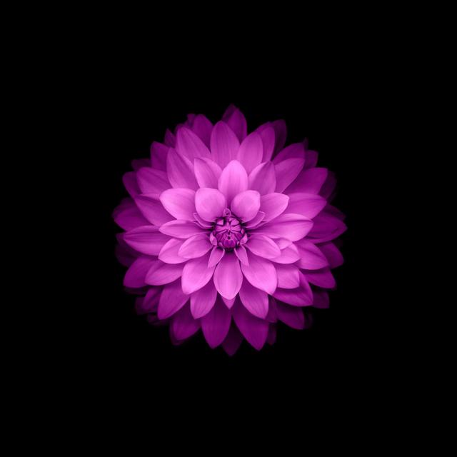 苹果星星充电多开软件-苹果六自带的壁纸插图(12)