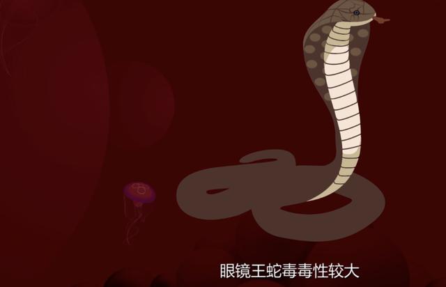 3米眼镜王蛇现身村道，为何各地频繁出现毒蛇，或许是人为的？