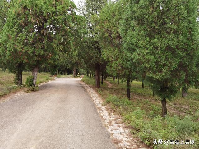 孔子誕生地——山東曲阜尼山遊記