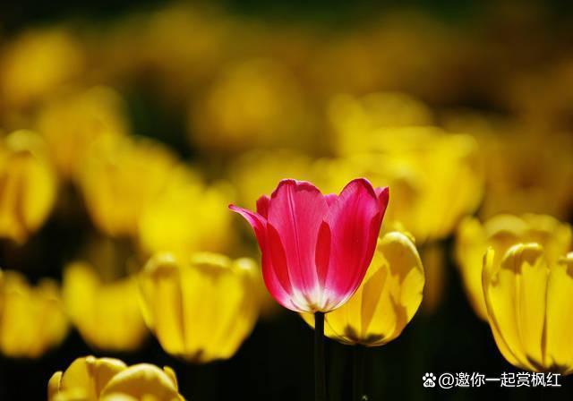 半生已过，淡然生活