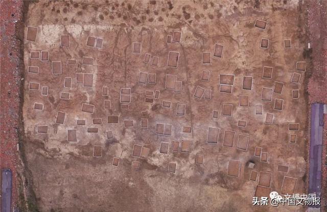 十大考古终评项目 | 云深一梦秦楚 木觚“纵横”旧事——湖北云梦郑家湖墓地