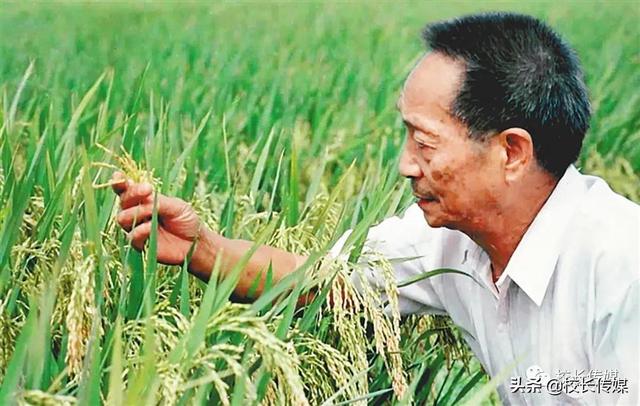 没有天生的熊孩子，只有教育缺位的父母