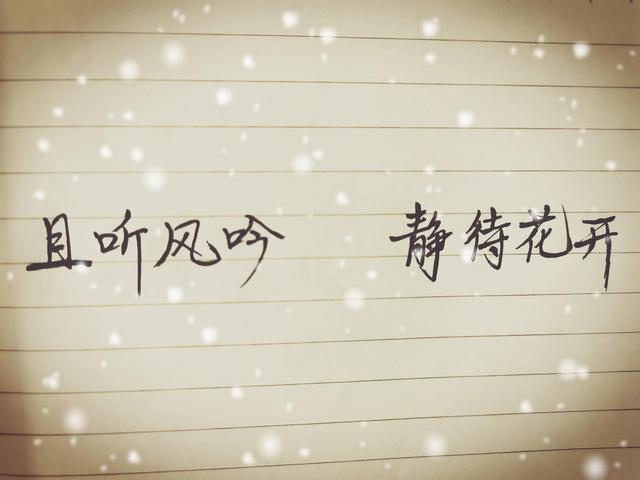头条抄书十八天，展现量高，收益并不高，感谢头条小伙伴大力支持