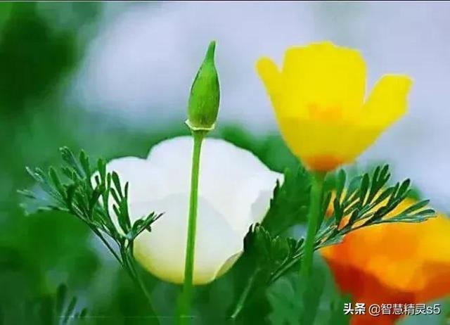每个背井离乡的人，都是梦想家