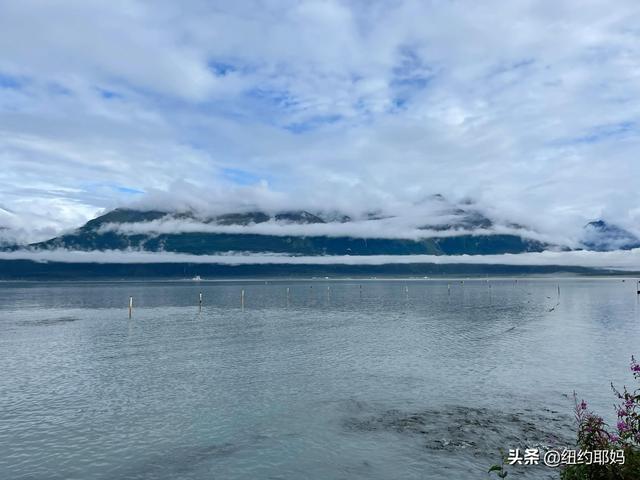 夢幻荒野阿拉斯加（14）Valdez看熊抓魚和三文魚洄遊